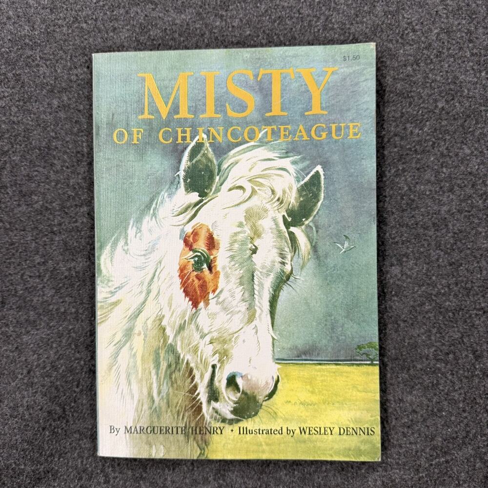 VTG 70s Misty Of Chincoteague Marguerite Henry Rand Mcnally Kids Pony Horse Book